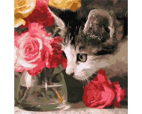 Картина по номерам Пушистый исследователь art_selena_ua 40х40 Идейка (KHO6804)
