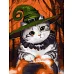 Картина за номерами Котик-чарівник ksy_bersan 30х40 Ідейка (KHO6665)