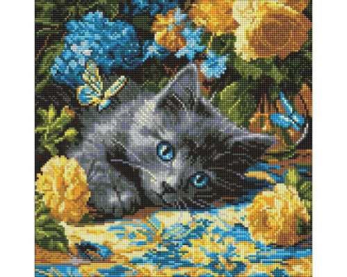 Алмазная мозаика Котенок голубоглазый 40х40 Идейка (AMO8340)