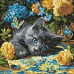 Алмазная мозаика Котенок голубоглазый 40х40 Идейка (AMO8340)