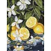 Алмазная мозаика Лимоны в разрезе 30х40 Идейка (AMO8301)
