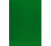 Набір Фетр SANTI м'який яскраво-зелений 21*30см 10 аркушів (743353)