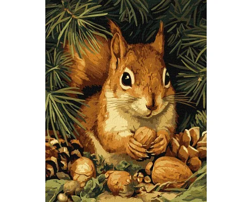 Картина за номерами Білочка та горішки art_selena_ua 40х50 Ідейка (KHO6843)