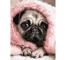 Картина за номерами Закутаний мопс art_selena_ua 30х40 Ідейка (KHO6839)