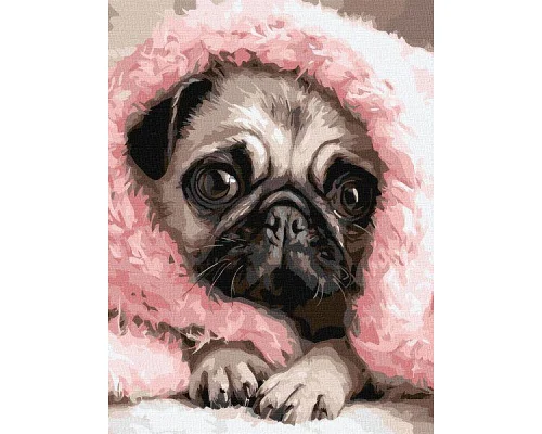 Картина за номерами Закутаний мопс art_selena_ua 30х40 Ідейка (KHO6839)