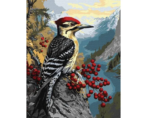Картина за номерами Дятел на калині art_selena_ua 40х50 Ідейка (KHO6778)