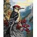 Картина за номерами Дятел на калині art_selena_ua 40х50 Ідейка (KHO6778)