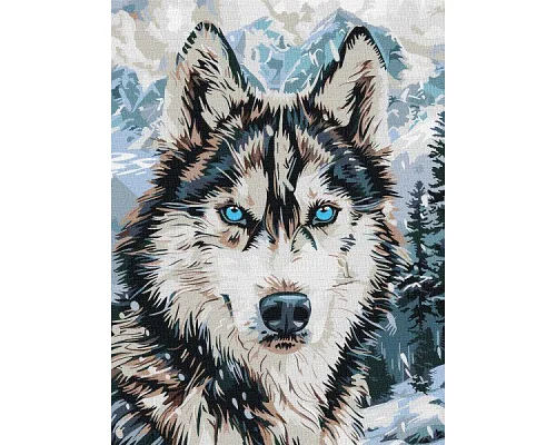 Картина за номерами Очі півночі art_selena_ua 30х40 Ідейка (KHO6842)