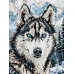 Картина за номерами Очі півночі art_selena_ua 30х40 Ідейка (KHO6842)