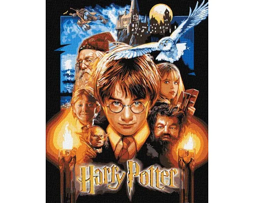 Картина за номерами Гаррі Поттер Постер з фарбами металік  40х50 Ідейка (KHO8716)