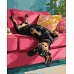 Картина по номерам Диванная радость art_selena_ua 40х50 Идейка (KHO6853)