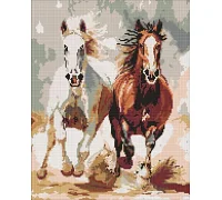 Алмазна мозаїка Чуттєвий забіг art_selena_ua 40х50 Ідейка (AMO20044)