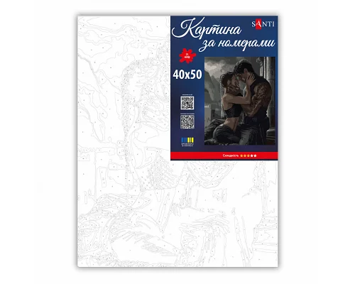 Картина за номерами Четверте крило Вайолет та Ксейден 40x50 см SANTI (955779)
