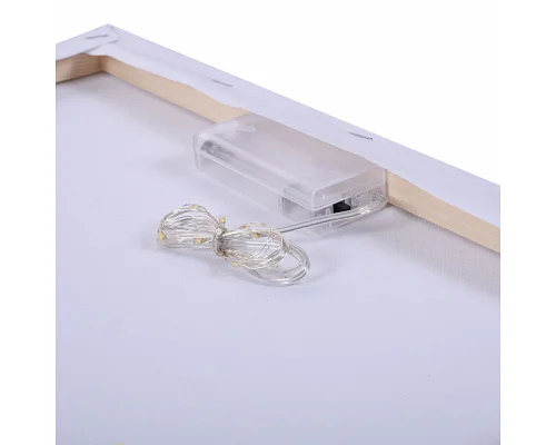 Картина за номерами Ангел і Демон LED підсвітка 40x50 см SANTI (956658)
