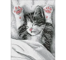 Алмазна мозаїка Муркотливий ранок art_selena_ua 30х40 Ідейка (AMO20204)