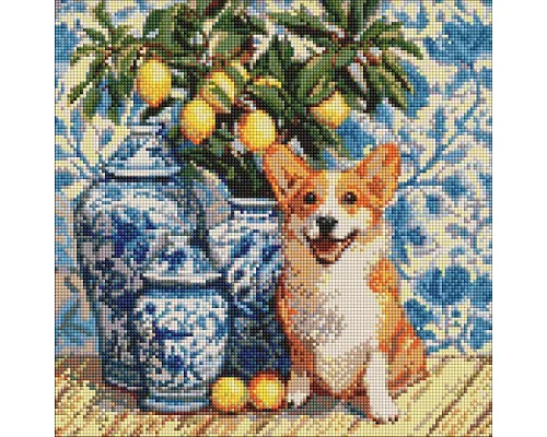 Алмазная мозаика Корги и лимоны art_selena_ua 40х40 Идейка (AMO20217)