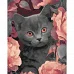 Картина за номерами Сірий котик 40х50 см Art Craft (11563-AC)