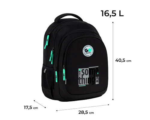 Рюкзак школьный GoPack Teens спинка 40 см (GO26-162M-4)