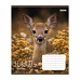 Зошит шкільний 1Вересня Wildlife is beautiful А5 24 аркушів лінія (769147)