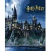 Картина за номерами Harry Potter: Гоґвортс вночі з фарбами металік extra Warner Bros. 40х50 Ідейка (KHO5230)