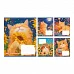 Зошит шкільний 1Вересня Sunny cat А5 12 аркушів лінія (768769)