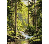 Картина по номерам Источник спокойствия art_selena_ua 40х50 Идейка (KHO6441)