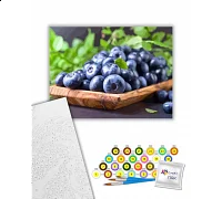 Картина за номерами Стигла лохина 40х50 см Art Craft (504004-NC)