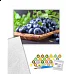 Картина за номерами Стигла лохина 40х50 см Art Craft (504004-NC)