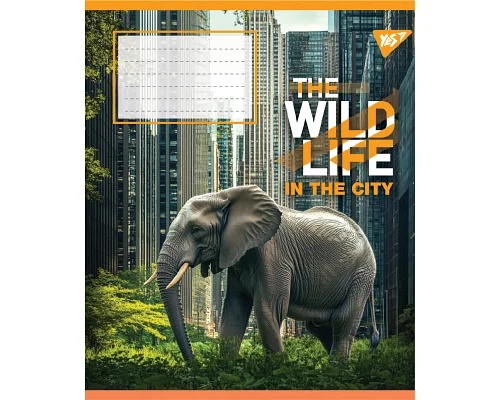 Зошит учнівський загальний The wild in the city А5 48 аркушів лінія YES (767769)