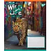 Зошит учнівський загальний The wild in the city А5 48 аркушів лінія YES (767769)