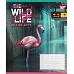 Зошит учнівський загальний The wild in the city А5 48 аркушів лінія YES (767769)