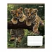 Зошит шкільний 1Вересня Wildlife is beautiful А5 18 аркушів клітинка (769144)