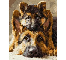 Картина за номерами Разом завжди art_selena_ua 40х50 Ідейка (KHO6944)