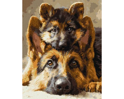 Картина за номерами Разом завжди art_selena_ua 40х50 Ідейка (KHO6944)
