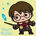 Картина за номерами Harry Potter: Чари під зірками Warner Bros 25х25 Ідейка (KHO1365)