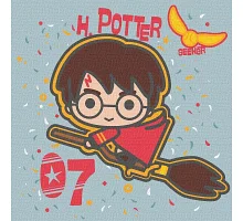 Картина за номерами Harry Potter: Політ на мітлі Warner Bros 25х25 Ідейка (KHO1364)