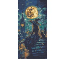 Алмазна мозаїка Юна відьма 40x80 см Орігамі (OD5130)