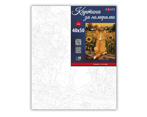 Картина за номерами SANTI 