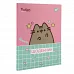 Щоденник учнівський YES інтегральний Pusheen Meow (911601)