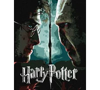 Картина за номерами Harry Potter: Гаррі та Волдеморт з фарбами металік extra Warner Bros. 40х50 Ідейка (KHO5222)