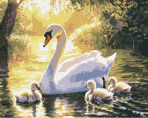Картина за номерами Вечірній заплив art_selena_ua 40х50 Ідейка (KHO6715)