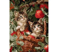 Картина за номерами Коти у кошику 30х40 см Ідейка (KHO6949)