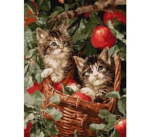 Картина за номерами Коти у кошику 30х40 см Ідейка (KHO6949)