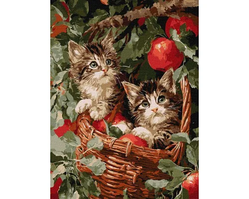 Картина за номерами Коти у кошику 30х40 см Ідейка (KHO6949)