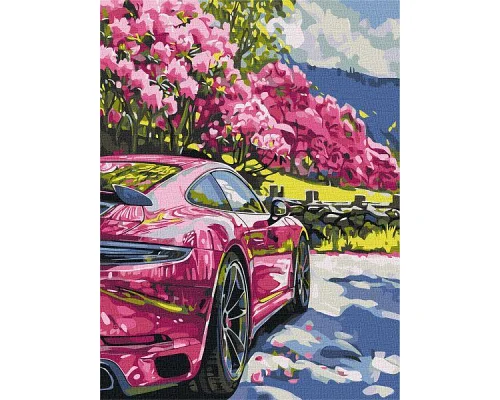 Картина за номерами Рух у кольорі art_selena_ua 30х40 Ідейка (KHO2524)
