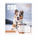 Зошит шкільний Yes Dog too pup А5 12 аркушів лінія (768732)