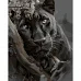 Картина за номерами SANTI 