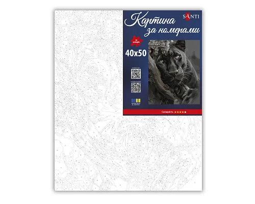 Картина за номерами SANTI 