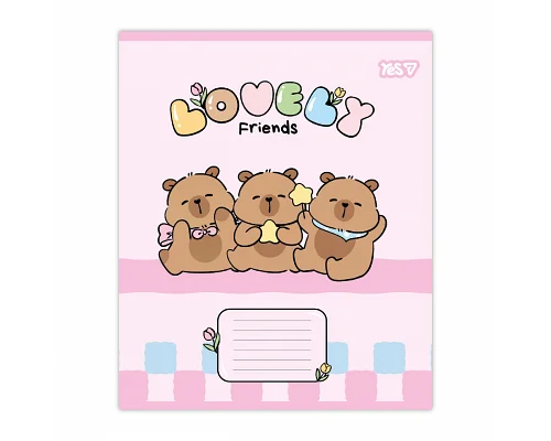 Зошит шкільний Yes Lovely Friends А5 12 аркушів коса лінія (768644)