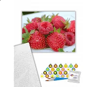 Картина за номерами Літні ягоди 40х50 см Art Craft (504006-NC)
